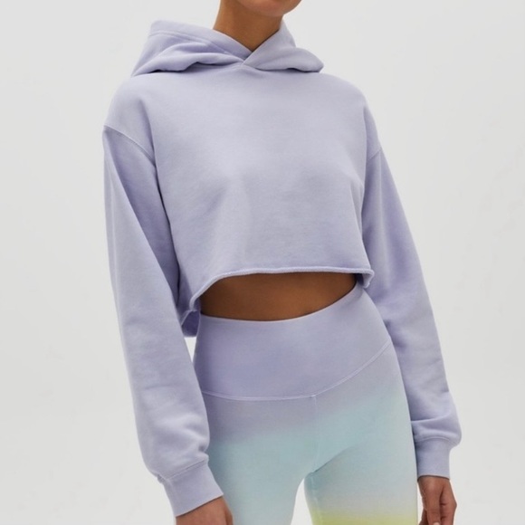 Aritzia tna cropped hoodie grey - Picture 5 of 5